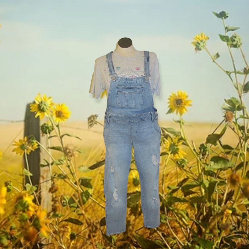 Distressed Overalls